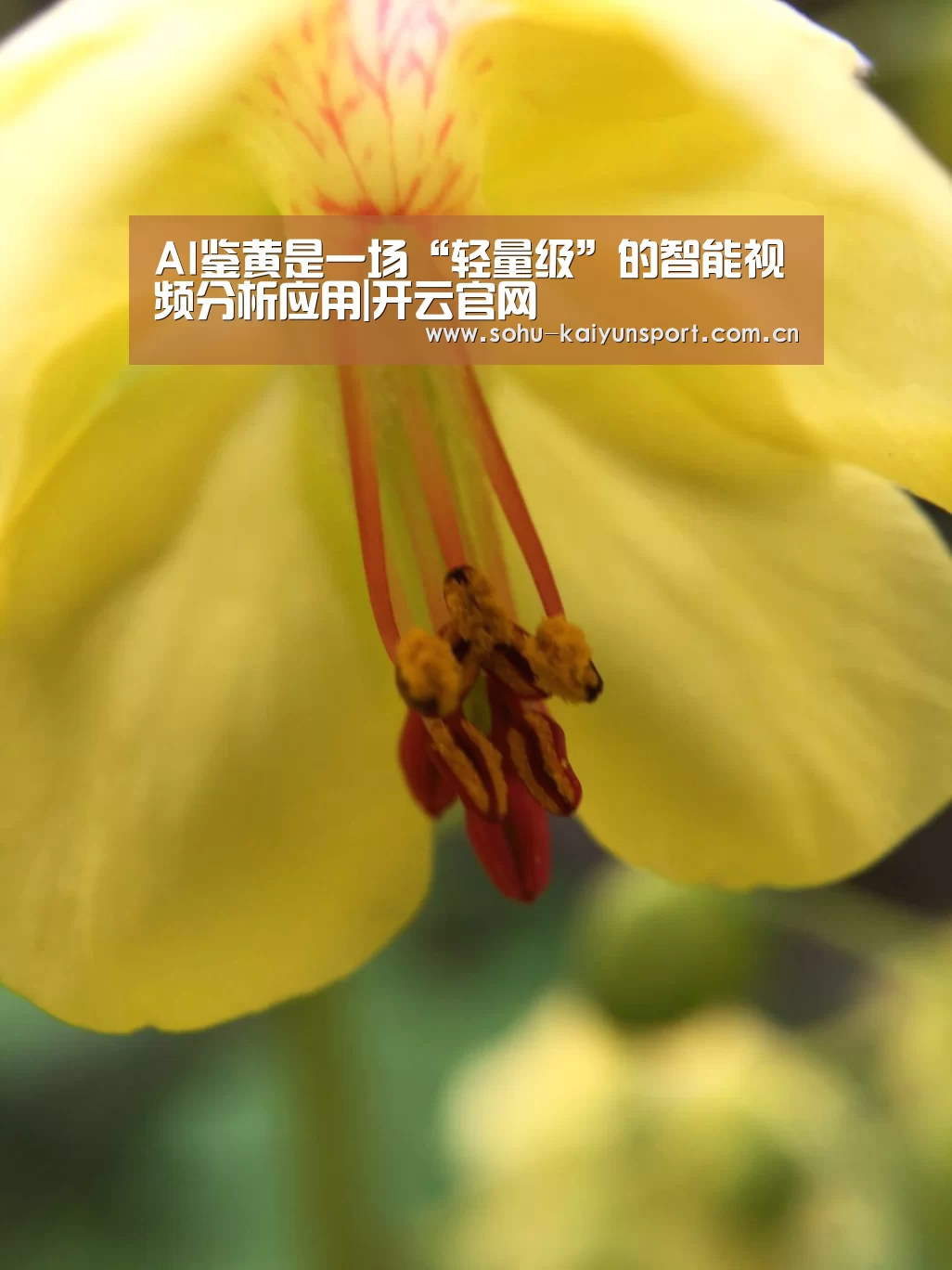AI鉴黄是一场“轻量级”的智能视频分析应用|开云官网(图2) 赛事数据