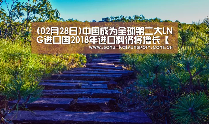 (02月28日)中国成为全球第二大LNG进口国2018年进口料仍将增长【赛事数据】(图4) 开云官网